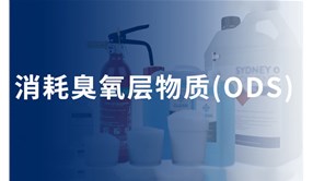 ODS物質(zhì)的來源及環(huán)境危害